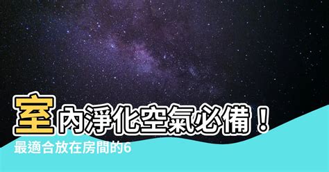 房間可以放什麼|【房間可以放什麼】你的房間可以放什麼植物？這 6 款幫你淨化空。